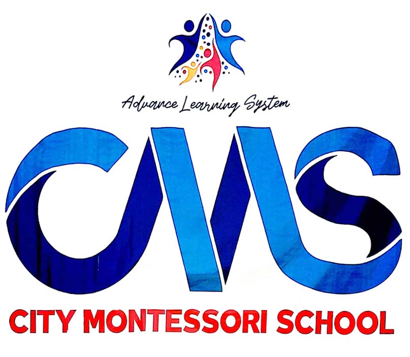 CITY MONTESSORI SCHOOL (CMS)
